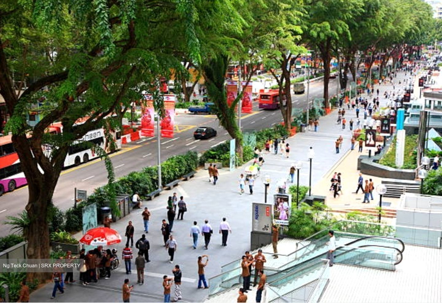 Delfi Orchard (D9), Shop House #452195191